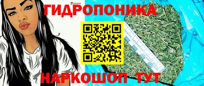 эйфоретик Владимир
