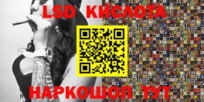 эйфоретик Владимир