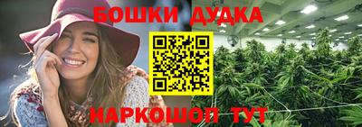 шишки Владивосток