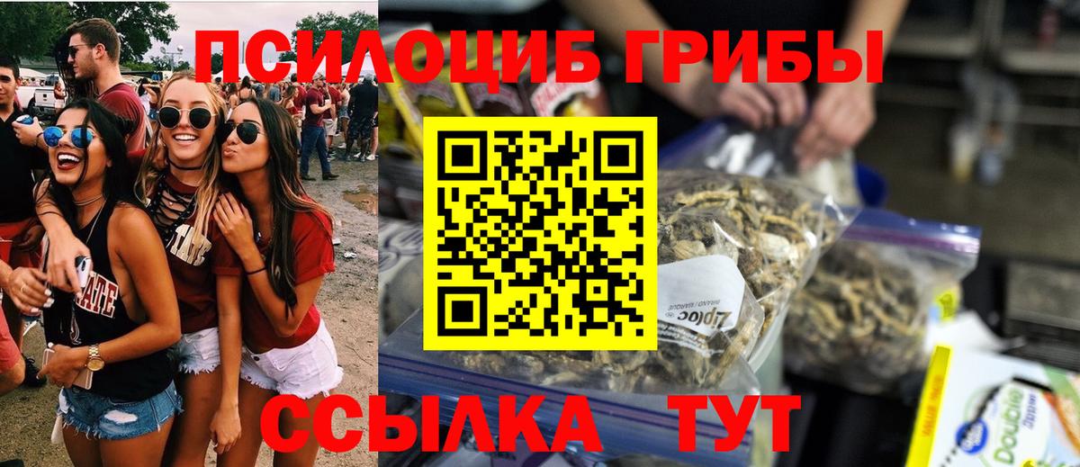 Галлюциногенные грибы GOLDEN TEACHER  Вход с VPN  Псилоцибиновые грибы Psilocybine cubensis  как найти   Зеленокумск 