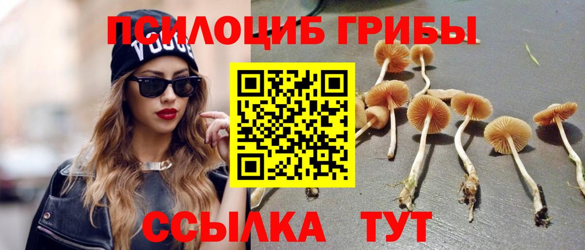 Галлюциногенные грибы Psilocybine cubensis Зеленокумск